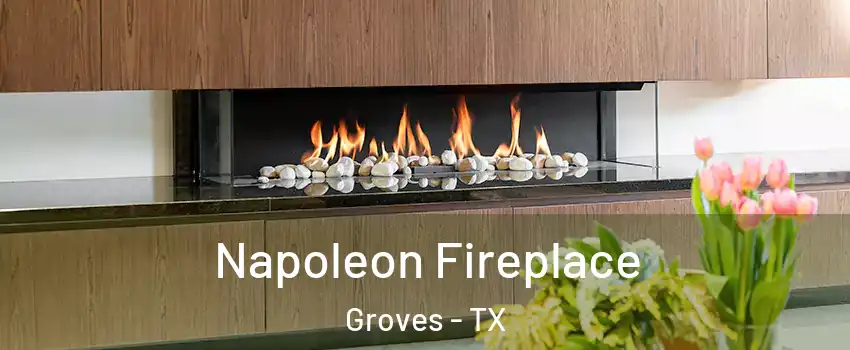  Napoleon Fireplace Groves - TX